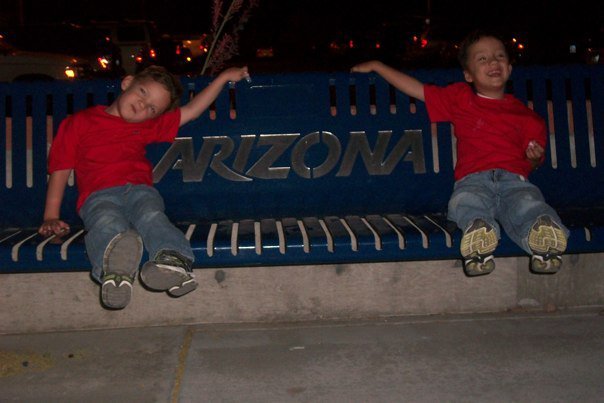 Arizona Wildcat Fan Fave Contest